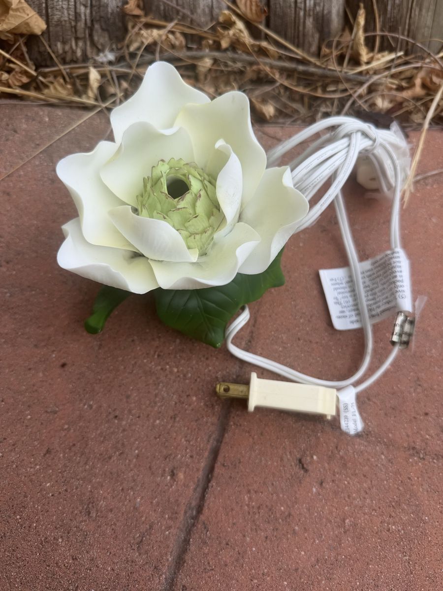 Vintage Floral Flower Electric Accent Light Lamp White & Green