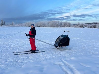 Burley Encore X Double Kid Bike Trailer & Stroller with Ski Kit - Excellent Condition