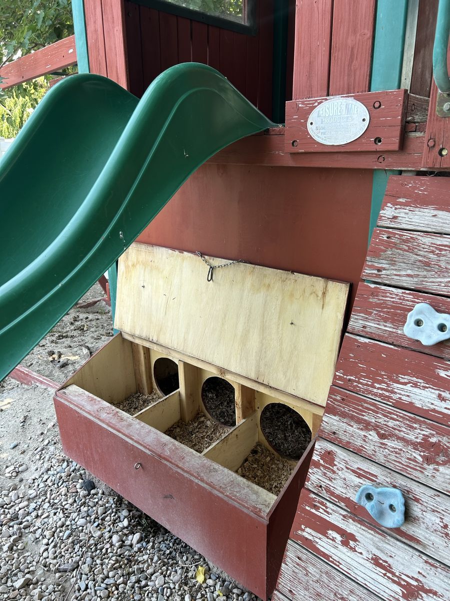 Main image 7