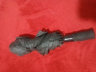 umbrella