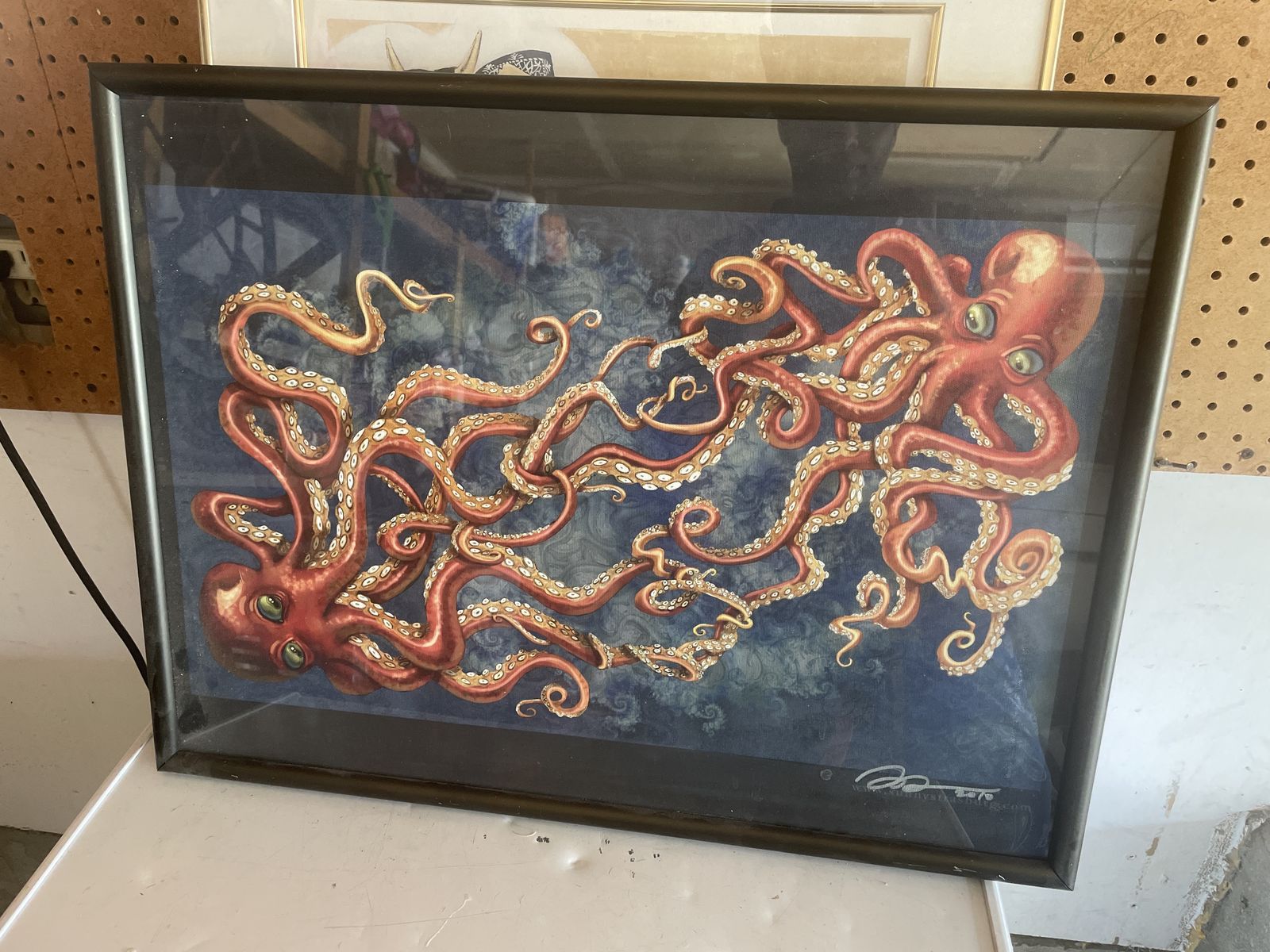 Octopus
