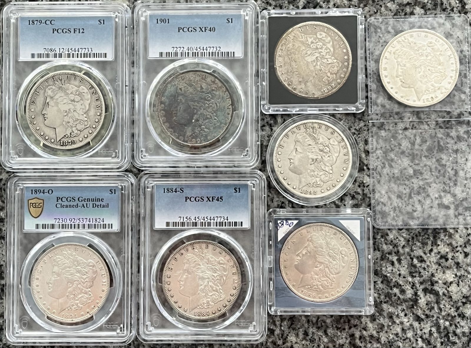8 Rare Morgan Silver Dollar’s For Sale
