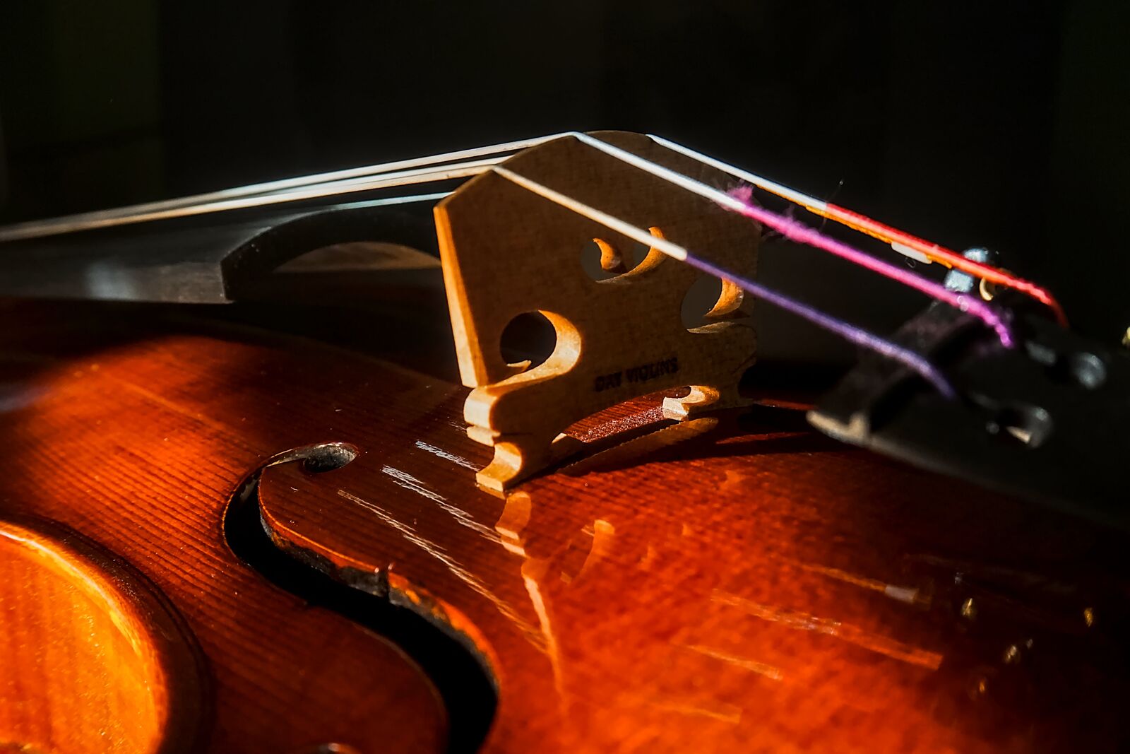 Advanced Student Violin