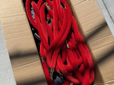 Red Velvet And Brass Stanchions