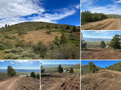 Land clearing/ brush cutting