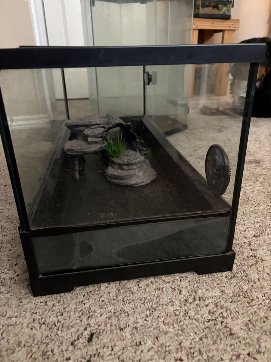 Reptile tank