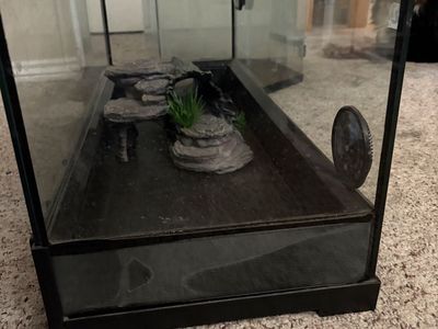 Reptile tank
