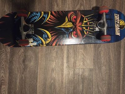 Tony Hawk Signature Series Skateboard - "Owl King" Deck, Red Wheels, Great Condition