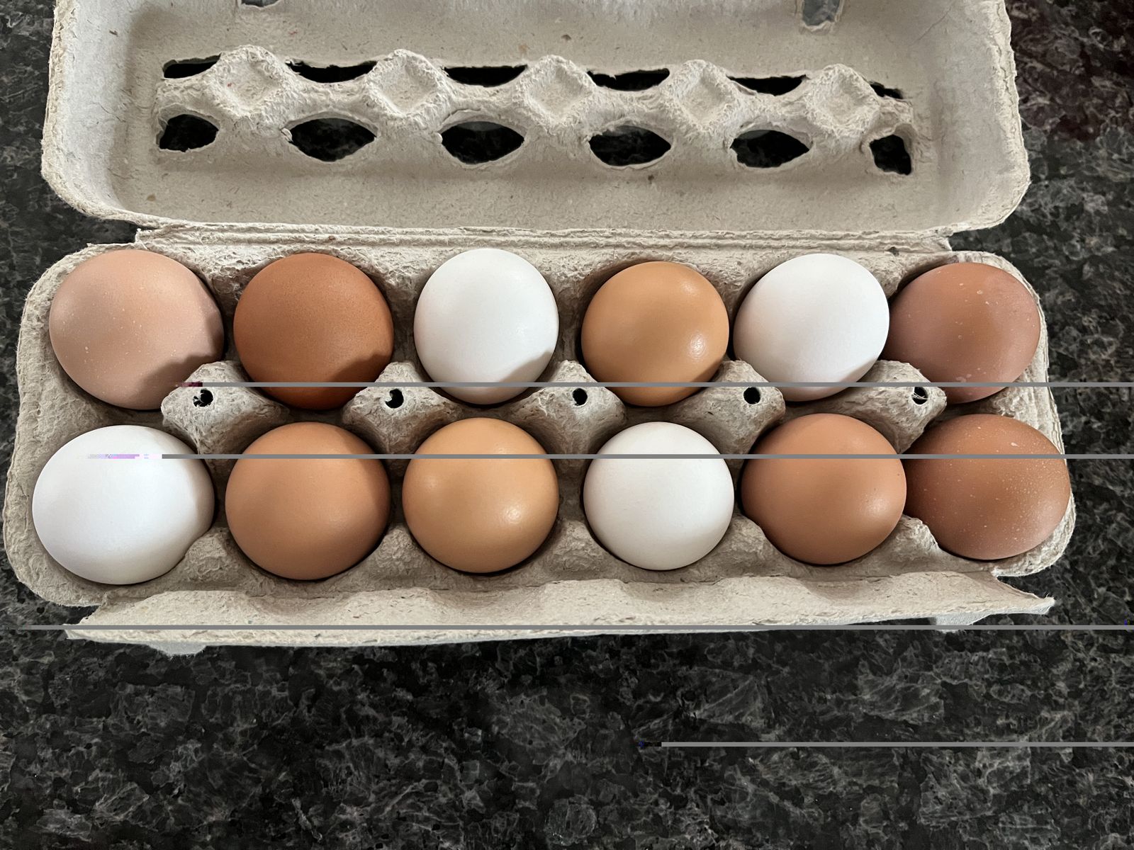 Fresh Free-Range Chicken Eggs