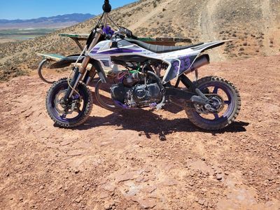 2022 pister pro 125