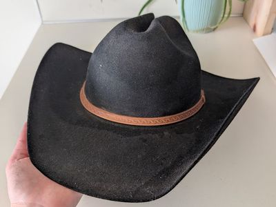 Stetson Cowboys hat 6X