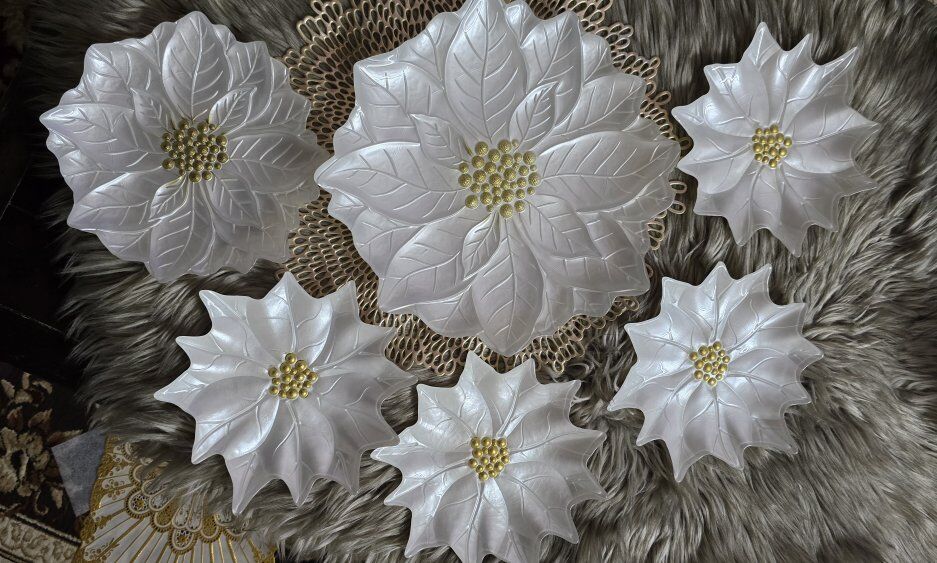 Kitchen supplies (Hand painted dishes)