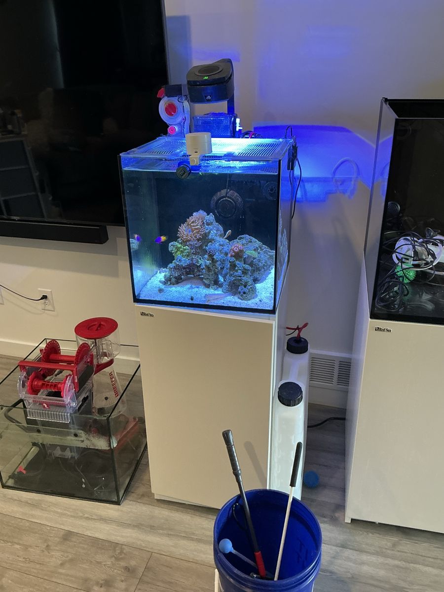 Red Sea Reefer Aquarium - Full Setup with Sump - Excellent Condition