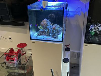 Red Sea Reefer Aquarium - Full Setup with Sump - Excellent Condition