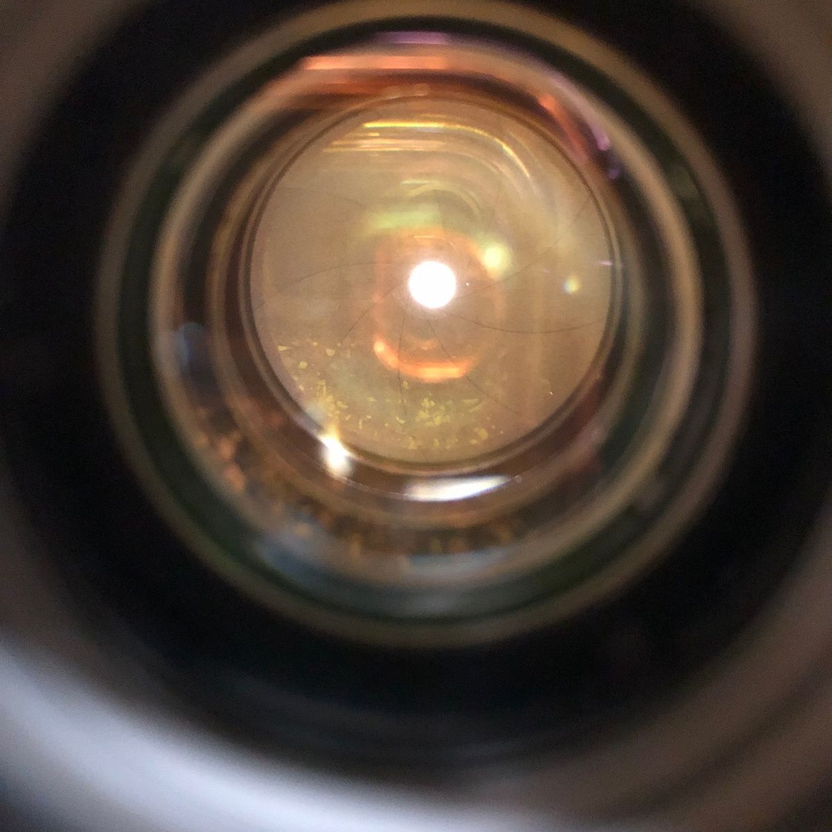 Main image 7