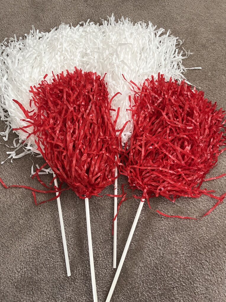 Cheer Pom Poms