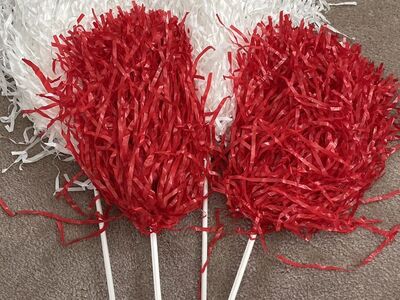 Cheer Pom Poms
