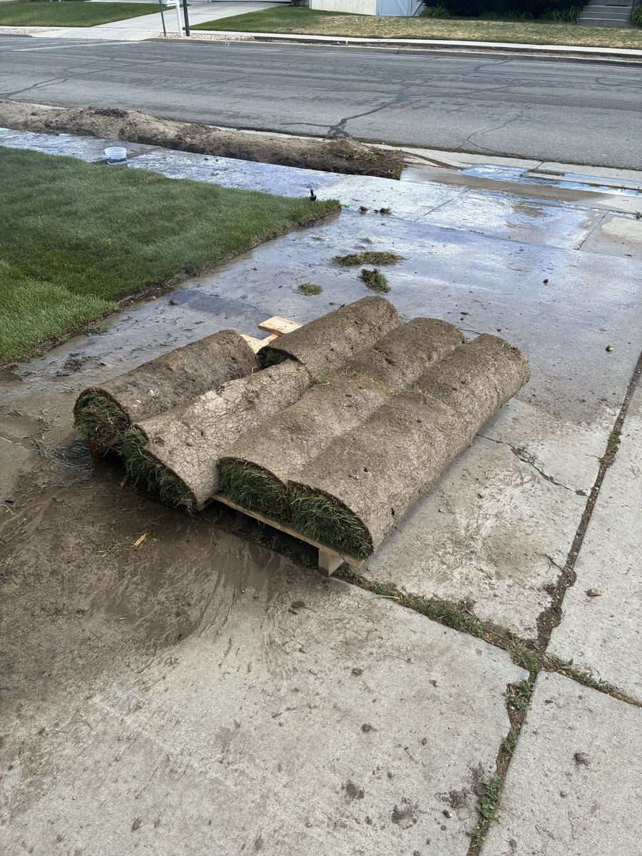 Free sod