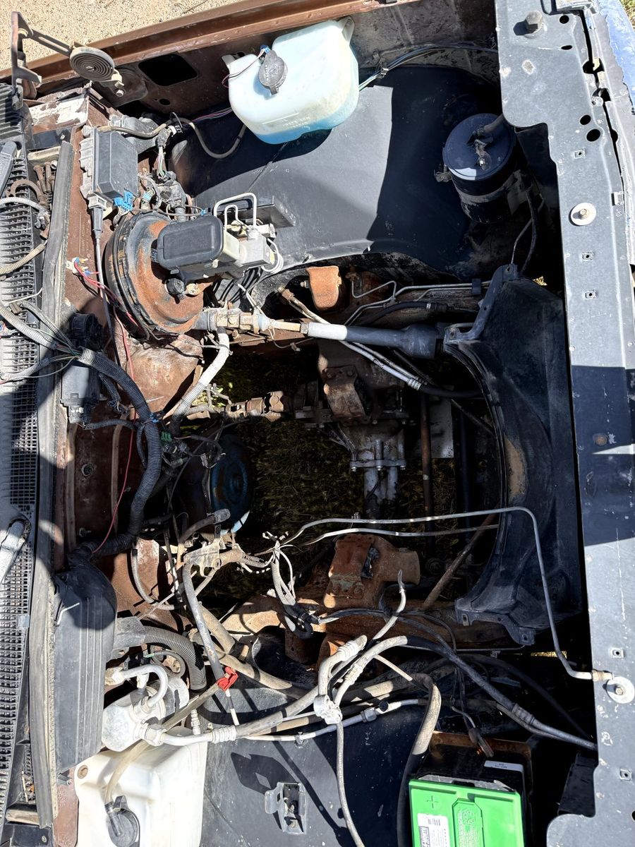 Main image 11
