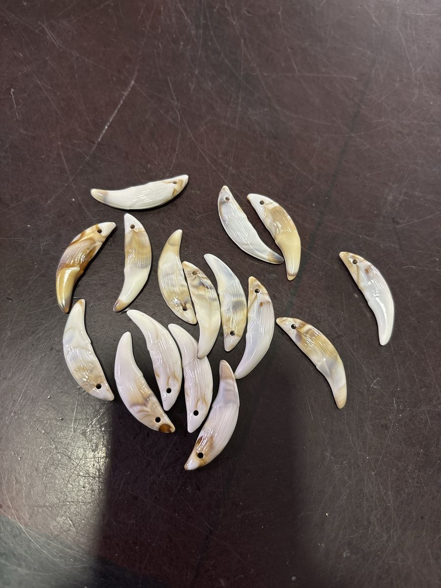 Shell Tooth Pendant Beads Lot - Drilled Curved Charms