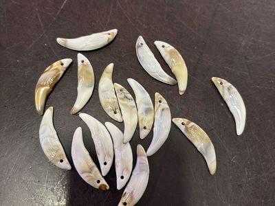 Shell Tooth Pendant Beads Lot - Drilled Curved Charms