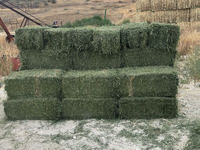 Premium alfalfa
