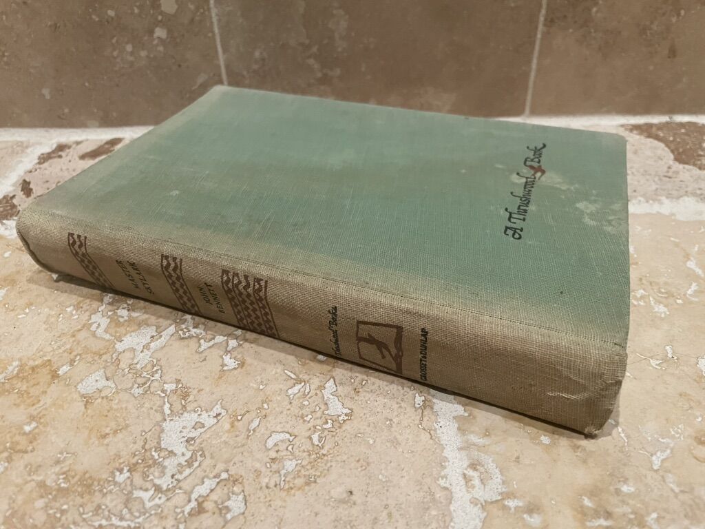 Master Skylark By John Bennett Vintage 1924