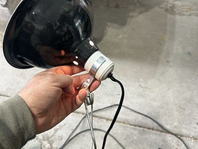 Reptile lamp