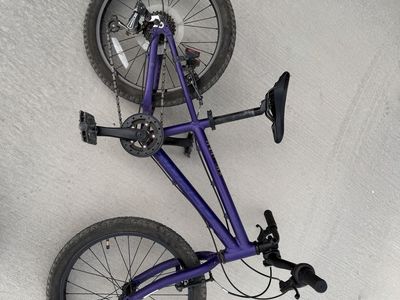 20” Norco Storm