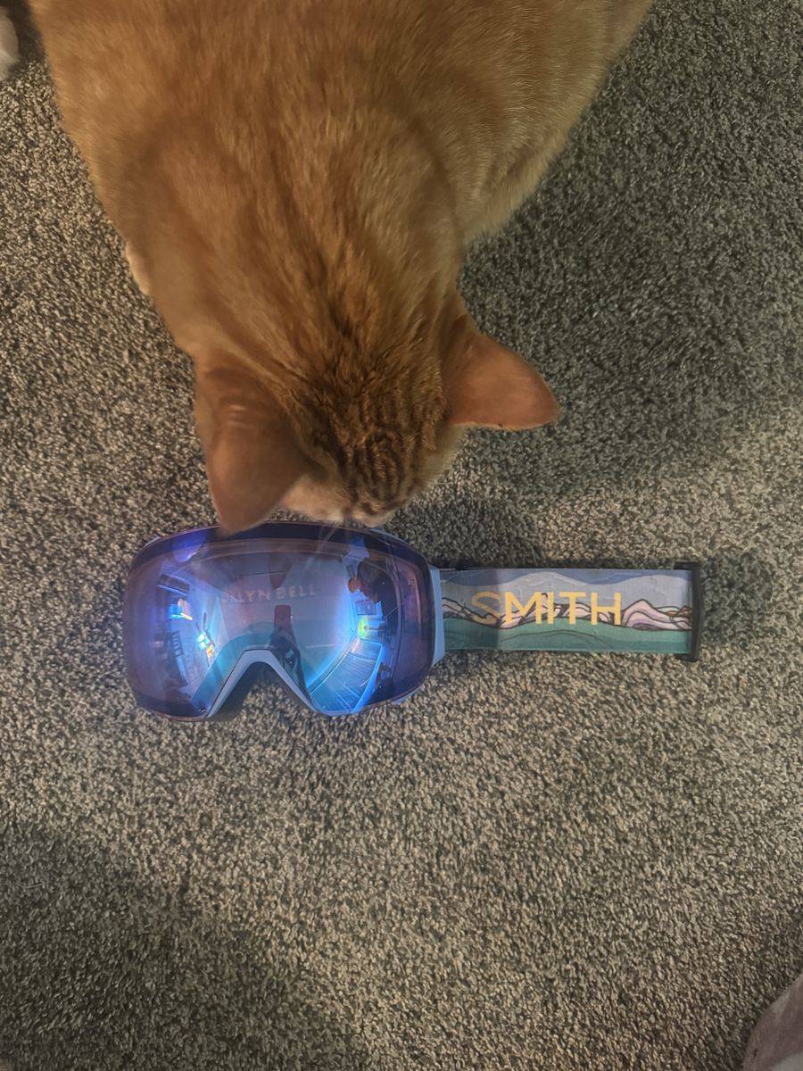 smith snowboard goggles