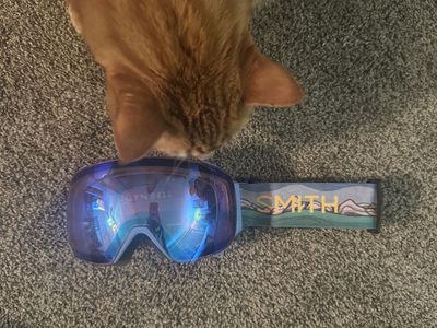smith snowboard goggles