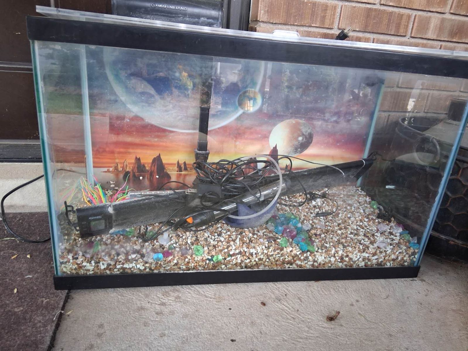 30 Gallon Fish Tank with Decoration