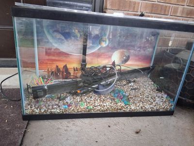 30 Gallon Fish Tank with Decoration