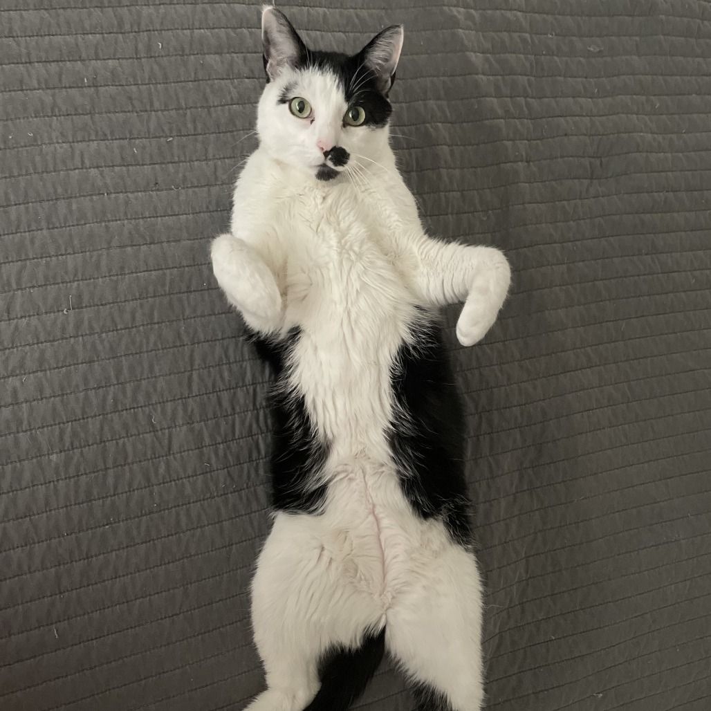 Hello my name is Carl