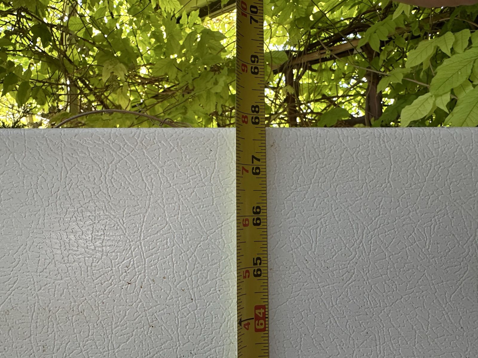 Main image 6