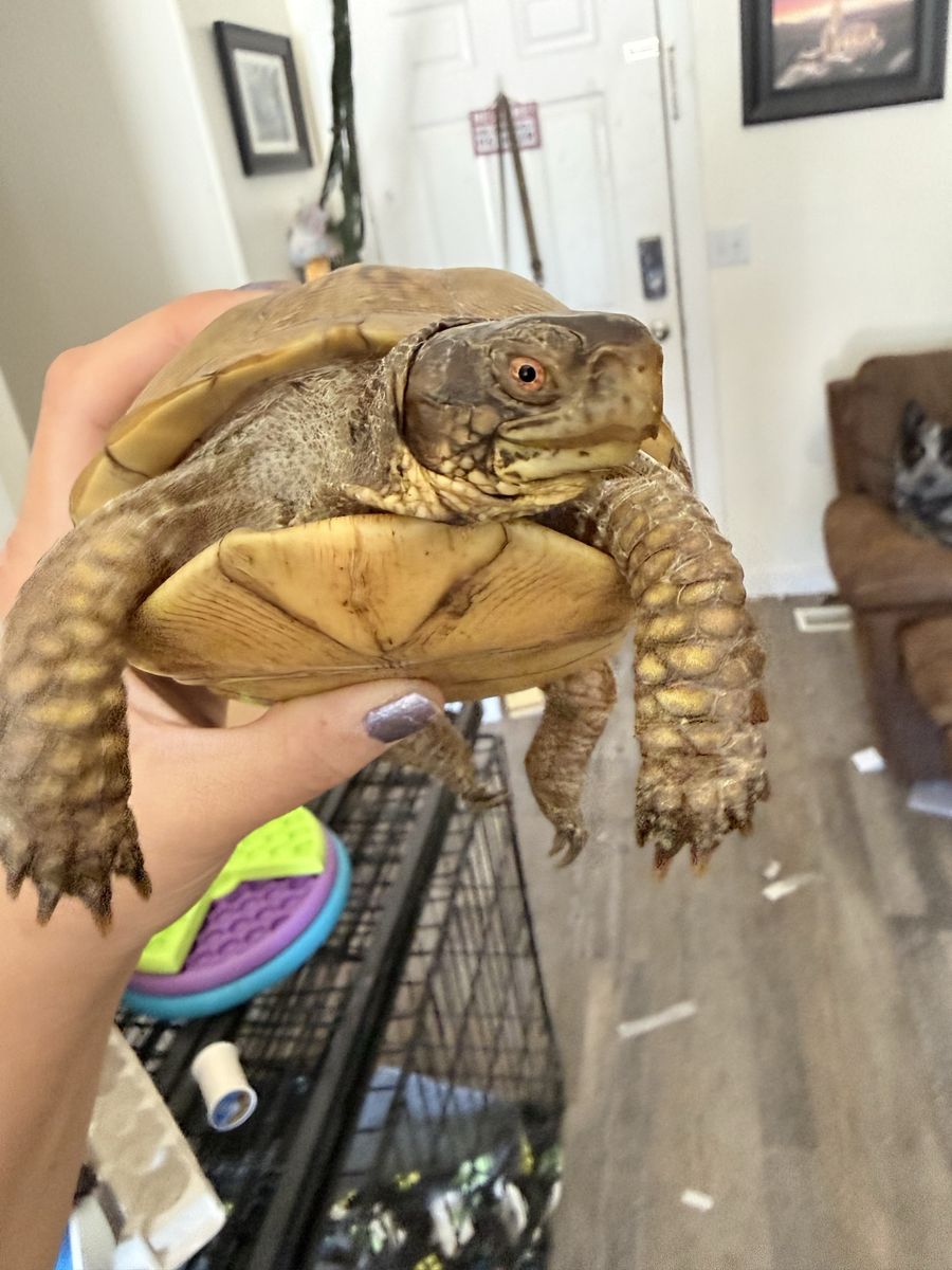 Main image 9