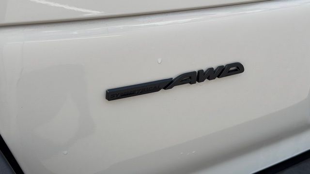 Main image 11