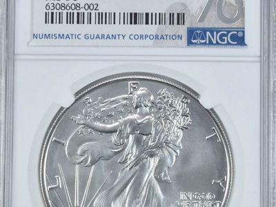 2021-W Burnished Silver Eagle Type 2 Early Releases MS70 NGC Eagle Label
