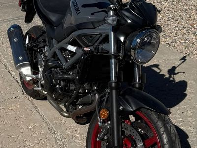 2023 Suzuki SV 650 Wolf Grey