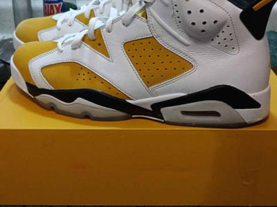 Jordan 6s orchid men's size 13