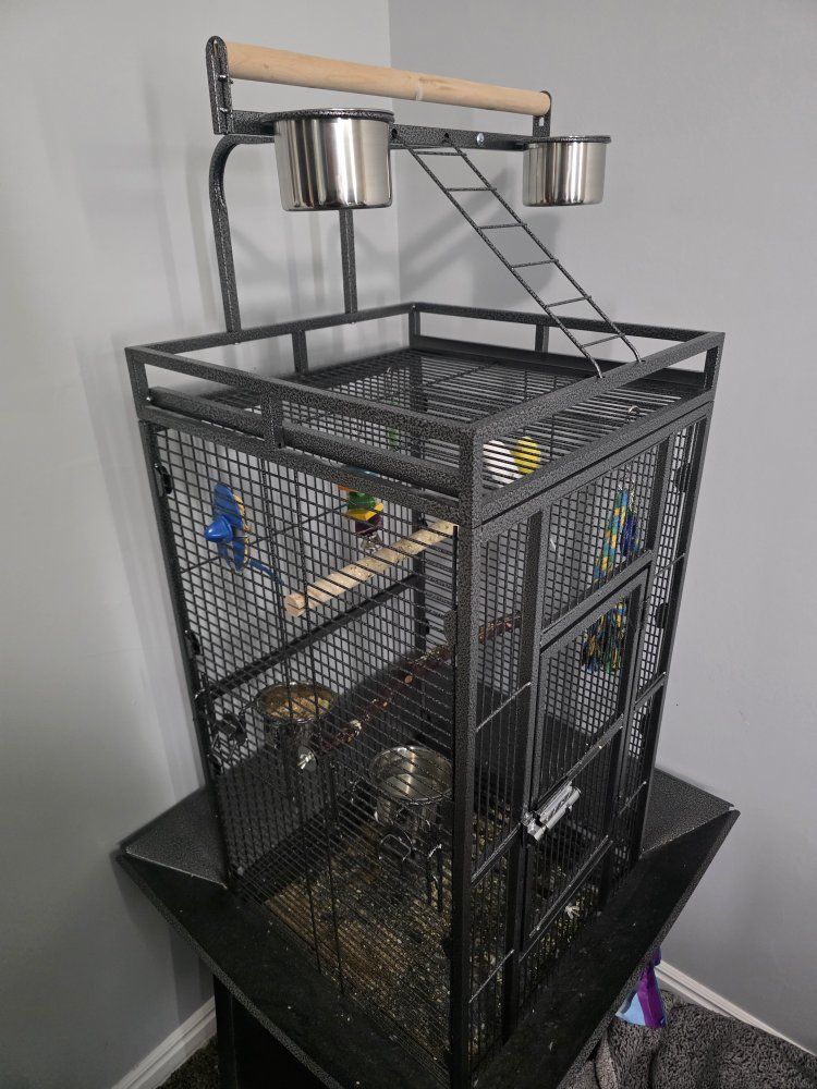 Main image 3