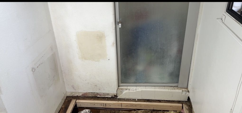 Used Shower Door
