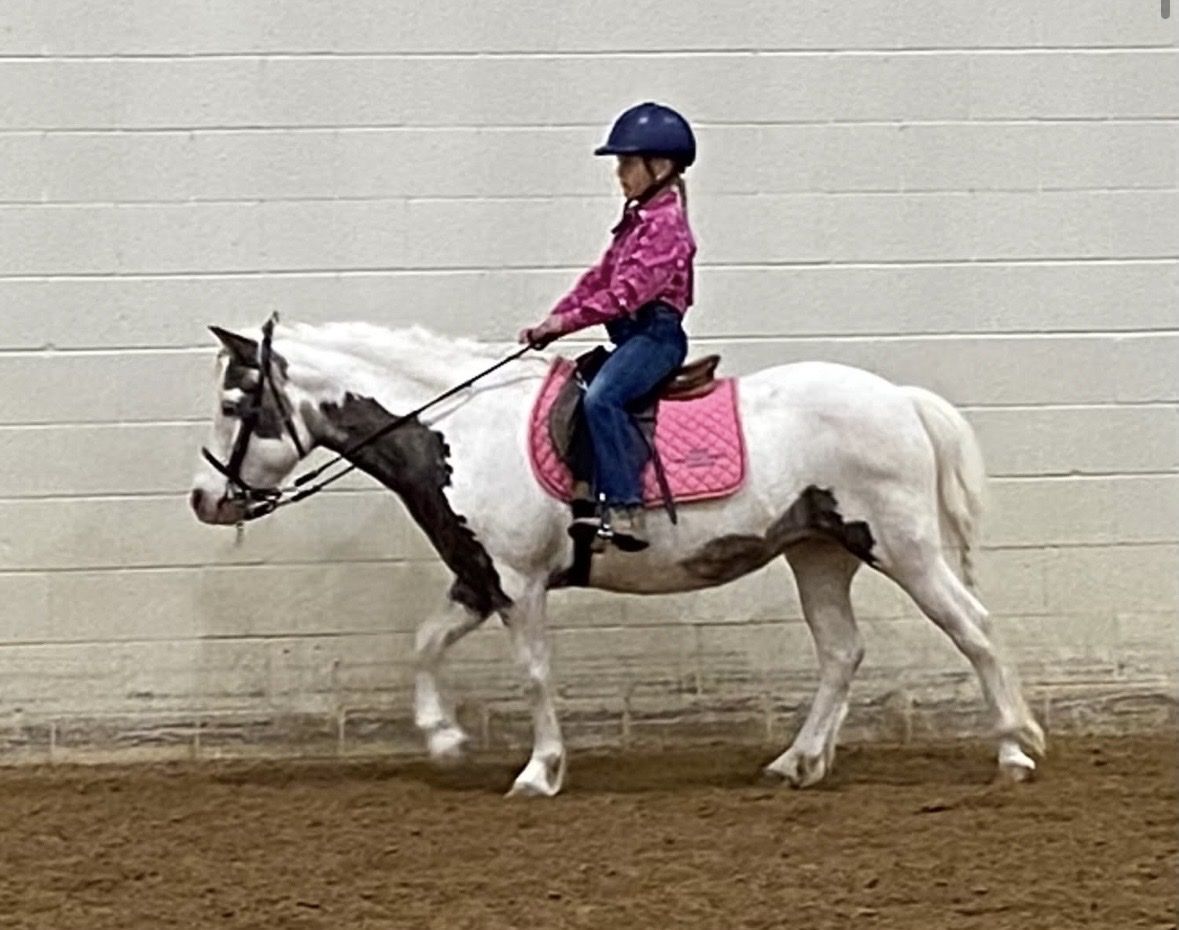 Small Pony Mare