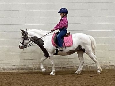 Small Pony Mare