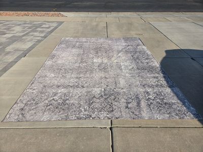 Large Indoor/Outdoor Ruggable Area Rug