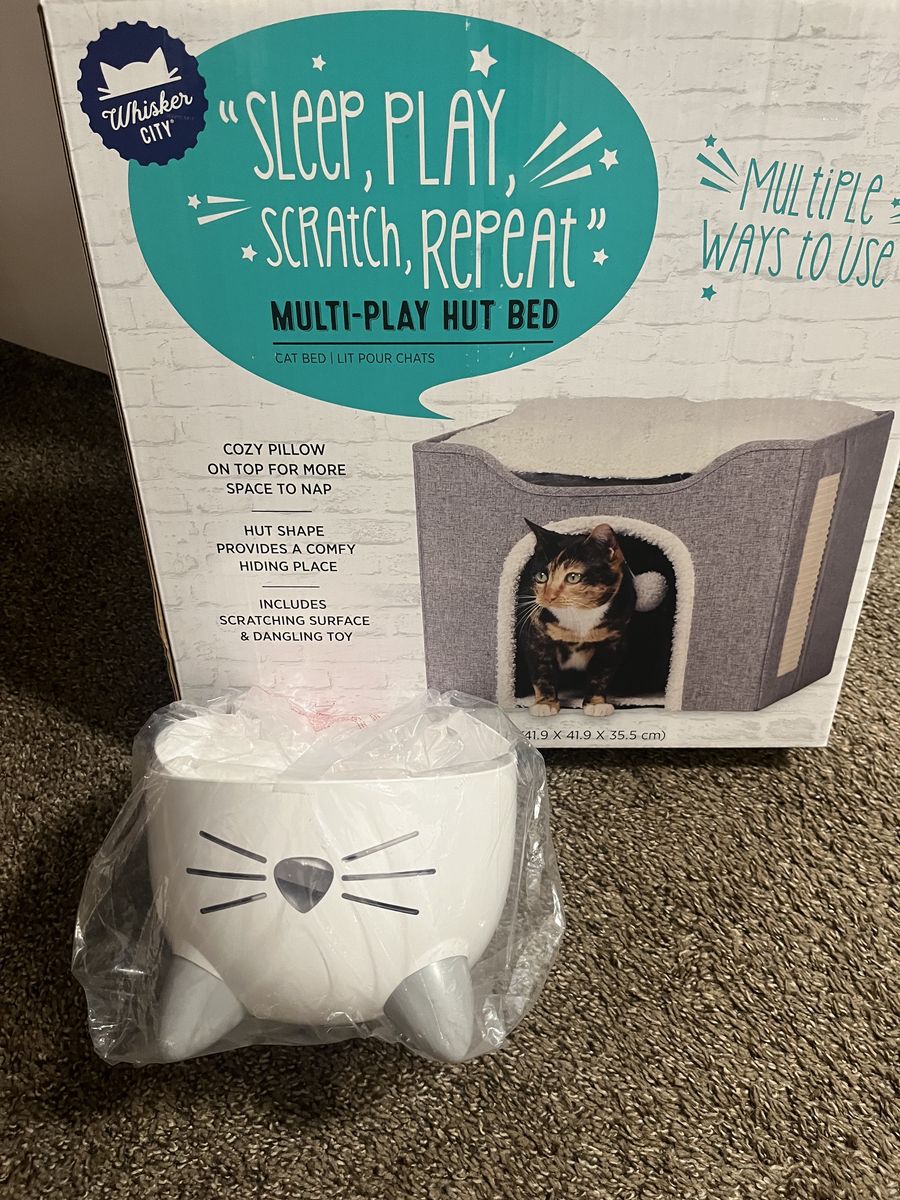 Cat play hut and water fountain