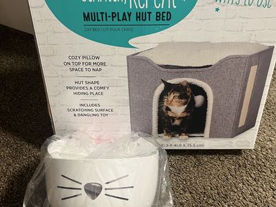 Cat play hut and water fountain