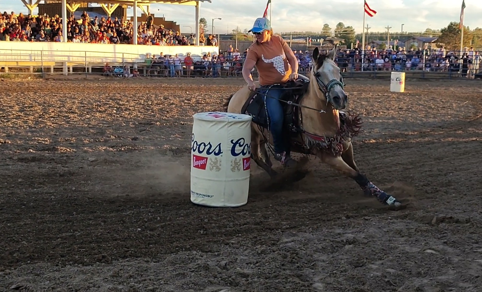 High school rodeo/ jackpot buckskin gelding