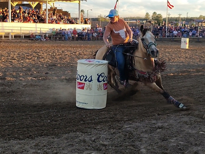 High school rodeo/ jackpot buckskin gelding