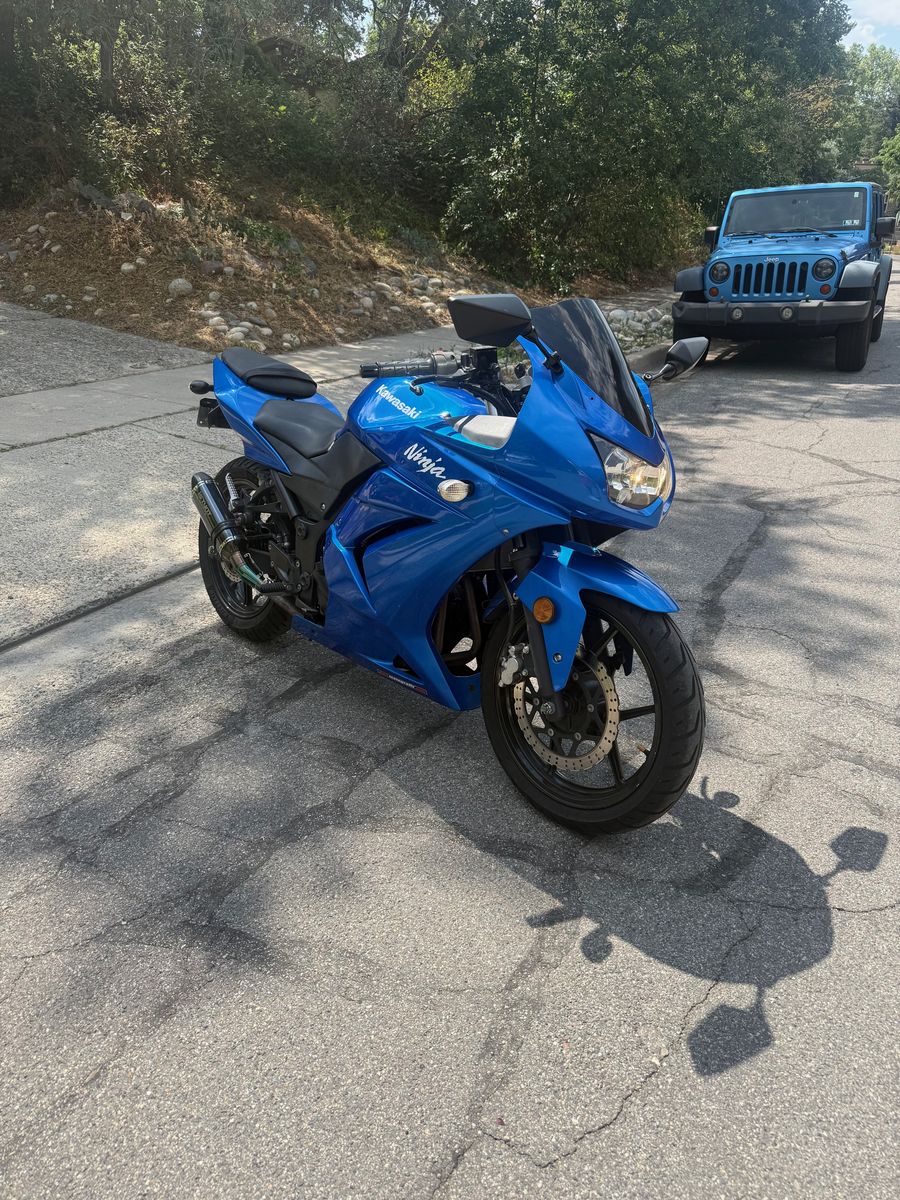 2008 Kawasaki Ninja 250R